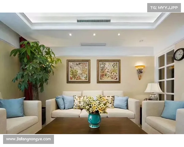 环暖官方攻略:彻底掌握家居保暖秘籍 环暖官方攻略:彻底掌握家居保暖秘籍