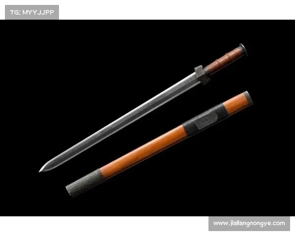 秦剑2手游,秦剑风云2折：秦剑风云再起，重塑江湖传奇