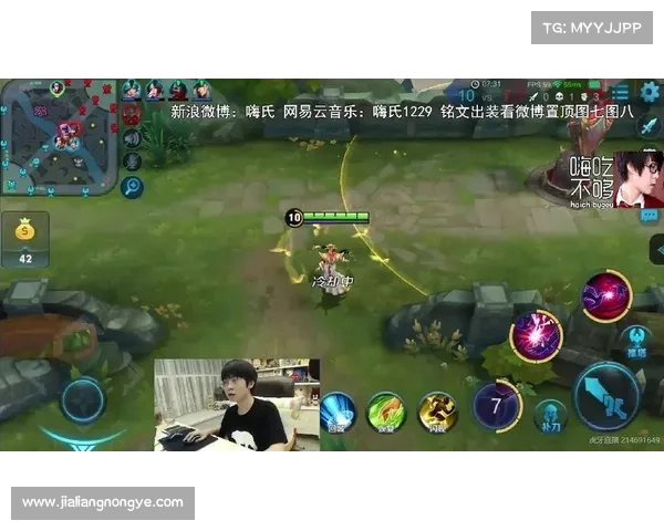 芈月王者归来：S8赛季全面攻略指南