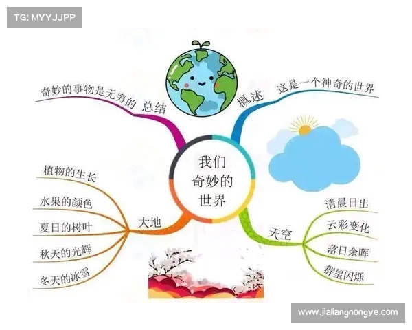 苹果淘趣：开启指尖上的奇妙世界