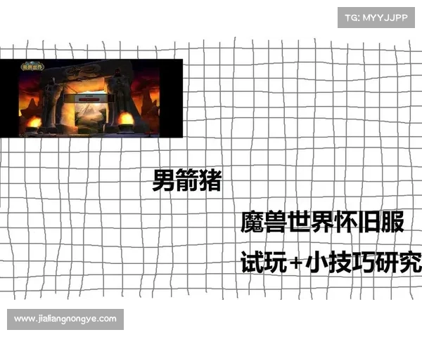 解密魔兽试玩账号限制攻略 解密魔兽试玩账号限制攻略