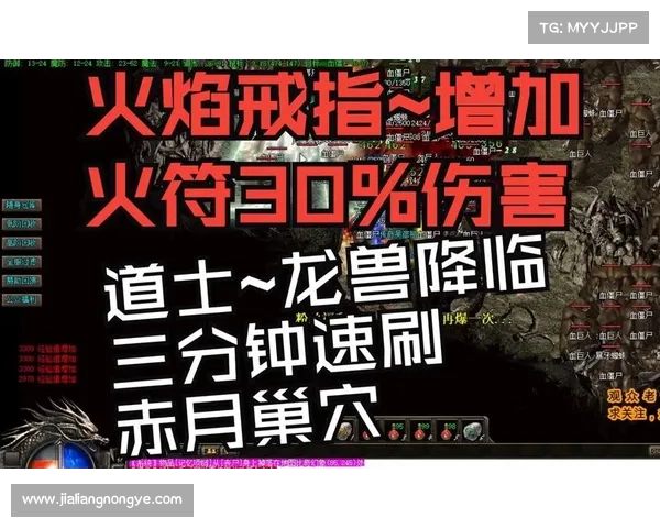 赤月道士升级攻略