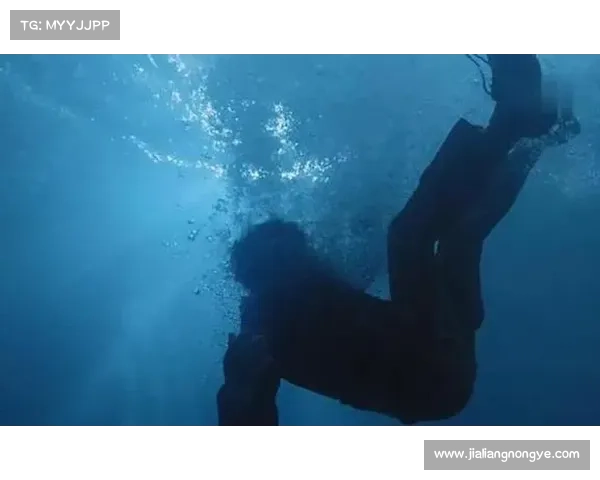 踏入黑暗裂隙,揭开深处的秘密 踏入黑暗裂隙,揭开深处的秘密