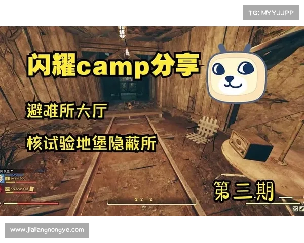 辐射76:构建隐蔽所的关键 辐射76:构建隐蔽所的关键