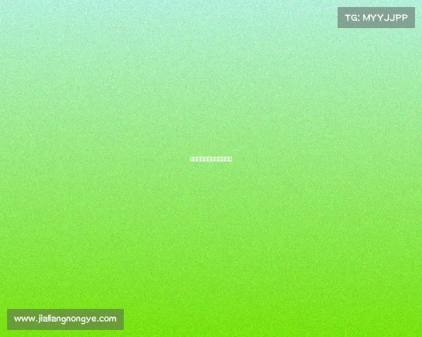 电子竞技专业课考什么科目 电子竞技专业课考什么科目