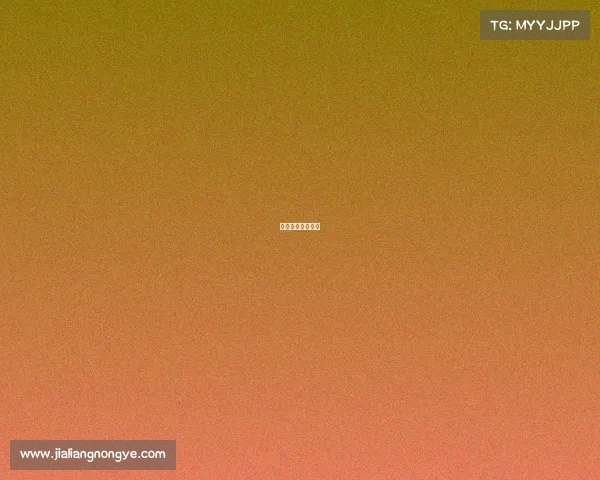 电子竞技月薪多少