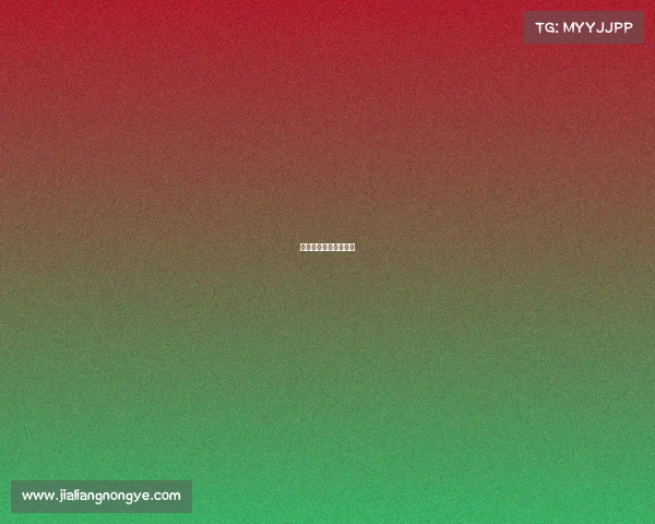 亚运会电竞什么网站看