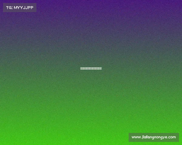 指尖逆袭：枪火王者的终极征途