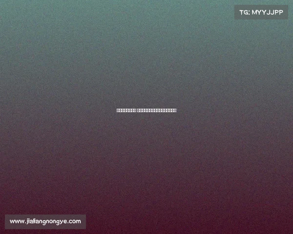 武汉梦竞电竞在哪 江城电竞主场：竞逐荣耀，热血开战