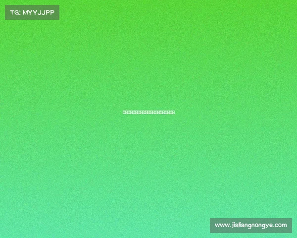 澳门电竞新风向：从小众狂欢到湾区融合新引擎