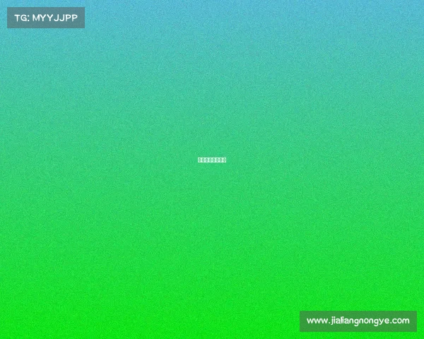 电子竞技团队精神