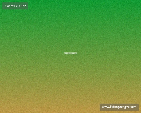 电子竞技运营是做什么的